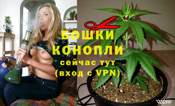 крисы Балабаново