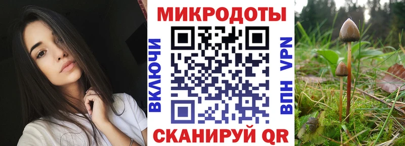 Галлюциногенные грибы GOLDEN TEACHER  Кувандык 