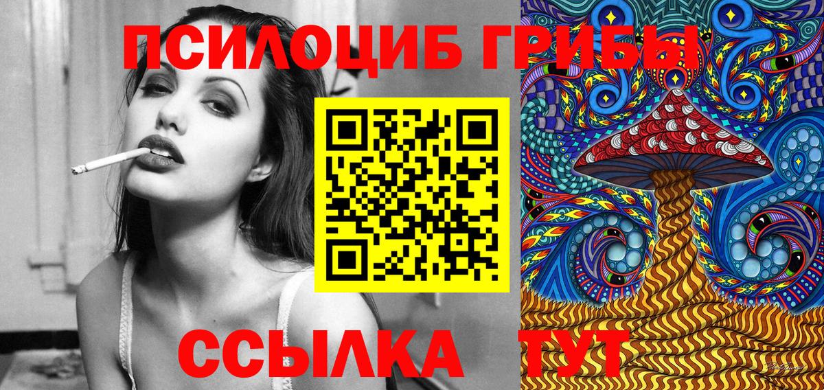 Кувандык  Псилоцибиновые грибы прущие грибы  Вход с VPN 