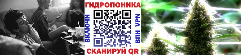 Каннабис VHQ  Кувандык 